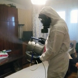 Дезинфекция от клопов в Ладушкине