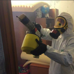 Уничтожение клопов в квартире. Ладушкин